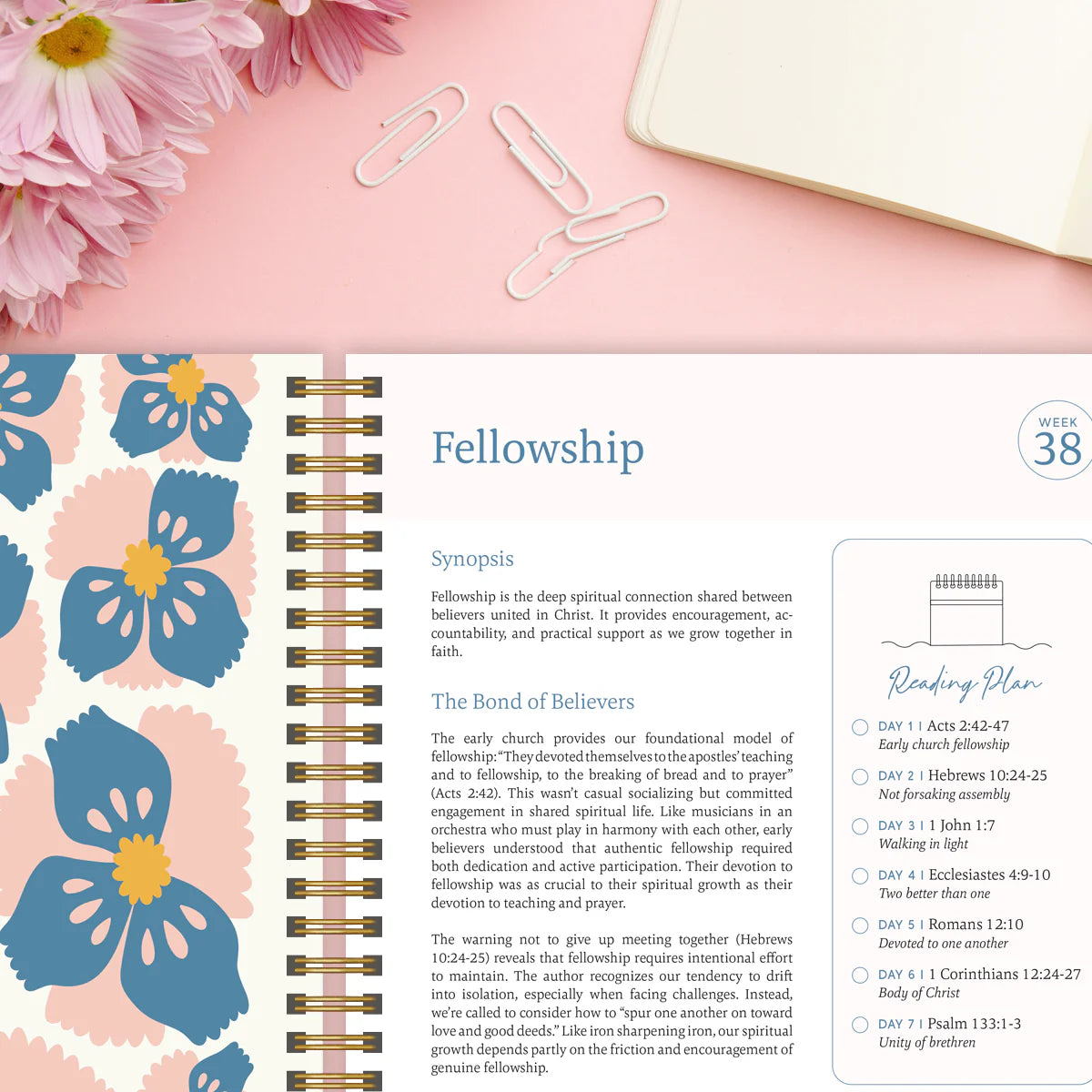 The Bible In One Year