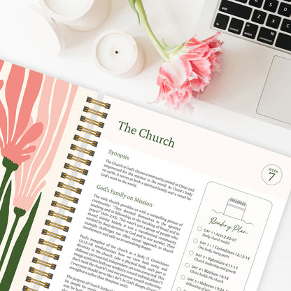 The Bible In One Year